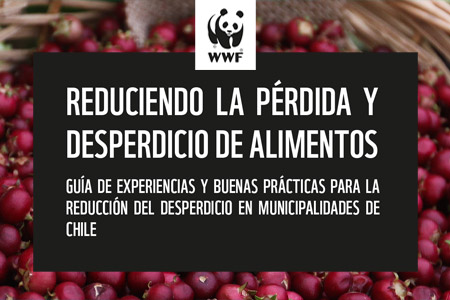 Recursos portada wwf 2